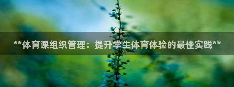 必一体育官方下载入口
