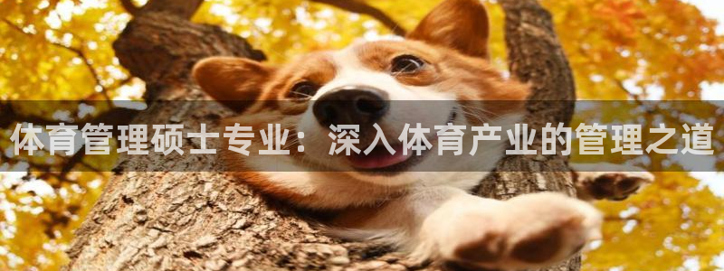 必一体育流水线是什么