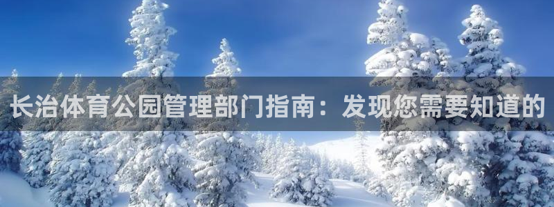 必一体育app官方下