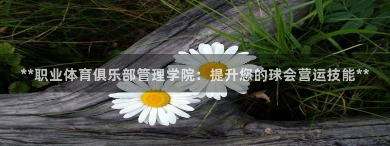 必一体育在线官网：*