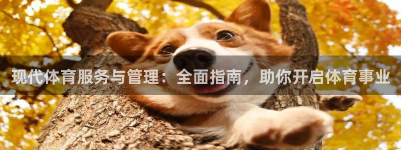 必一体育app官方下