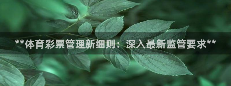 必一运动sport网