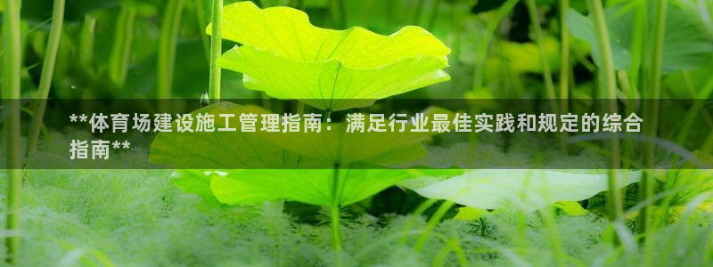 必一体育下载移动版：