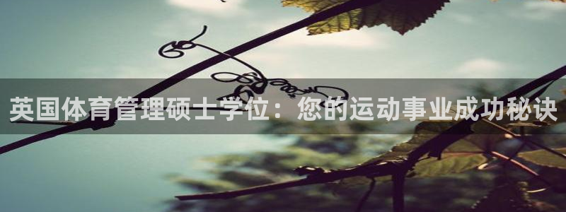 必一体育APP下载安