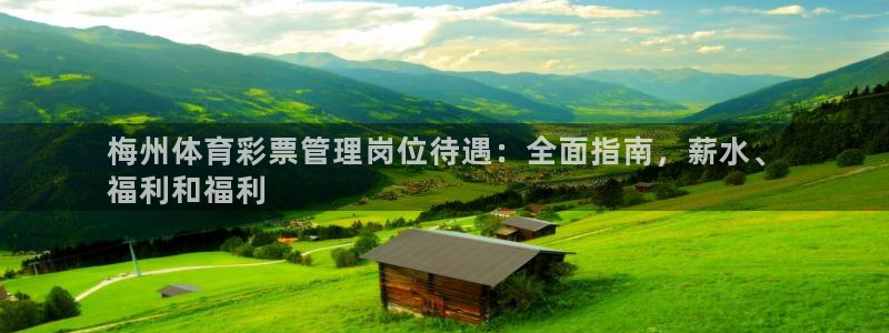 必一体育官网入口：梅