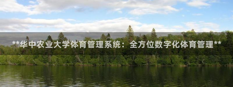 必一体育登录APP下