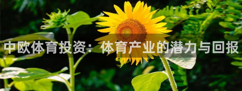 必一运动体育：中欧体