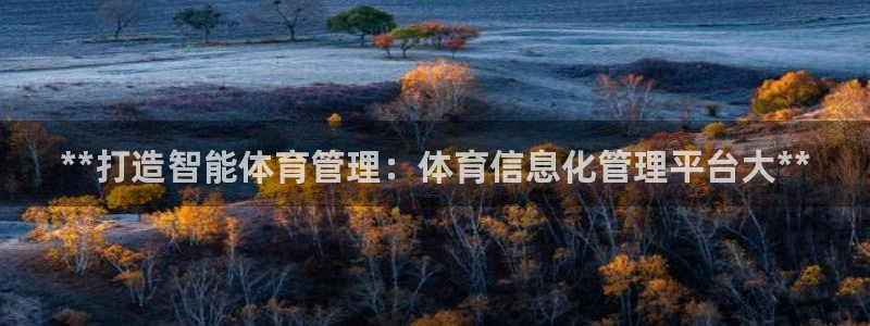必一体育网页登录版官