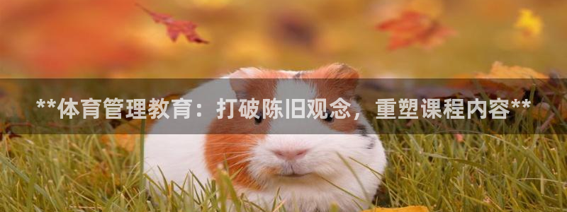 必一体育app官方网