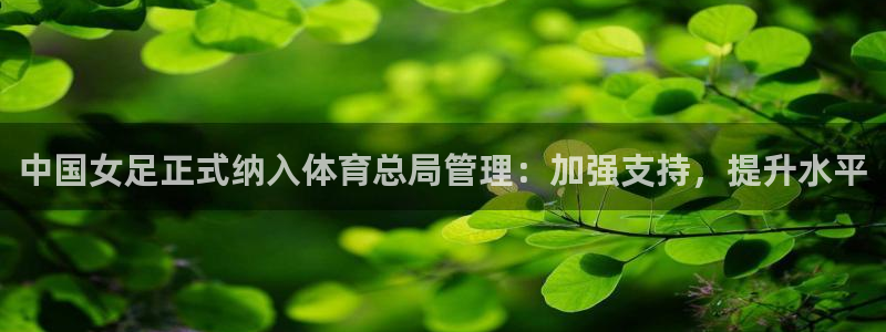 Bsport体育必一