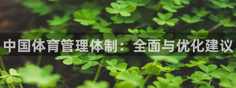 必一体育APP：中国