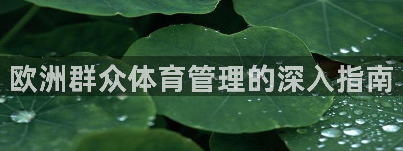 必一体育官方app下