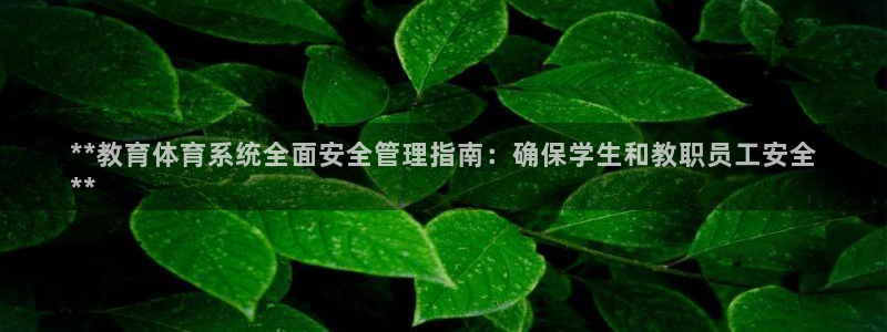 必一体育能提现大金额