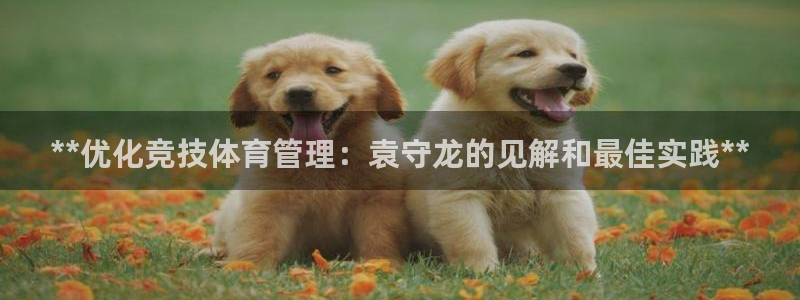 必一体育app下载最