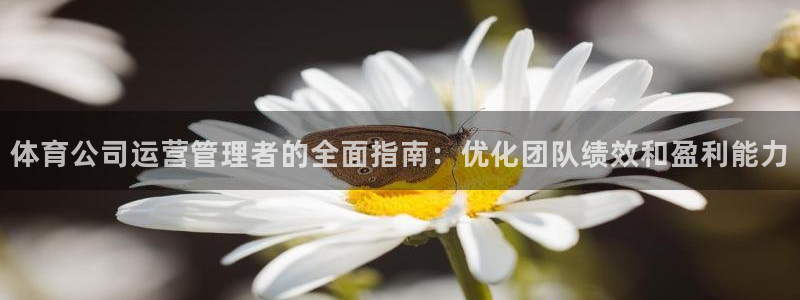 必一体育登陆：体育公