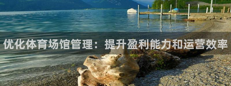 必一体育登入：优化体