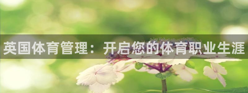 必一体育网页版登录：