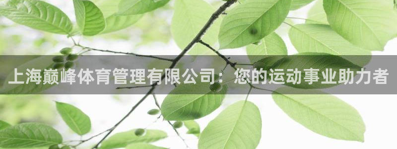 必一体育sport官