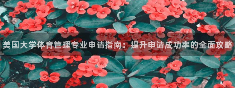 必一体育服下载最新版