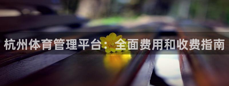 必一体育app官方下