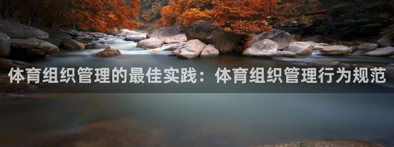 必一体育服下载最新版