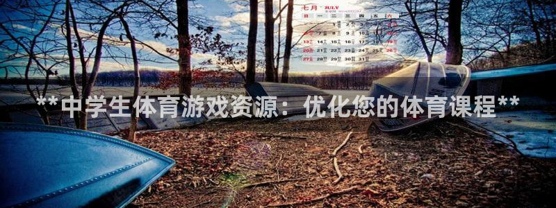 必一体育sport下