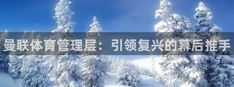 必一体育运动官网：曼