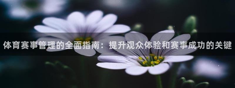 必一体育流水线是什么