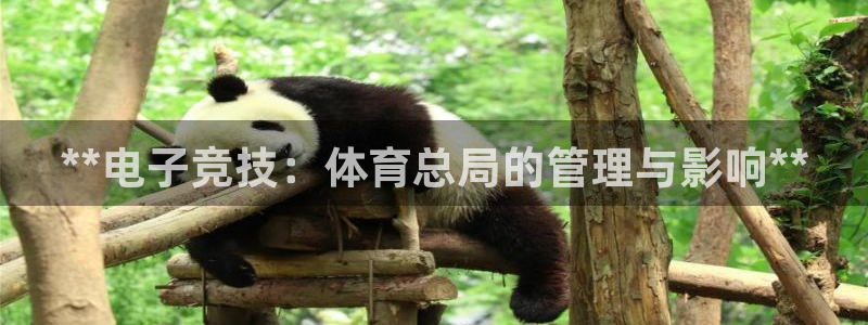 必一体育能提现大金额