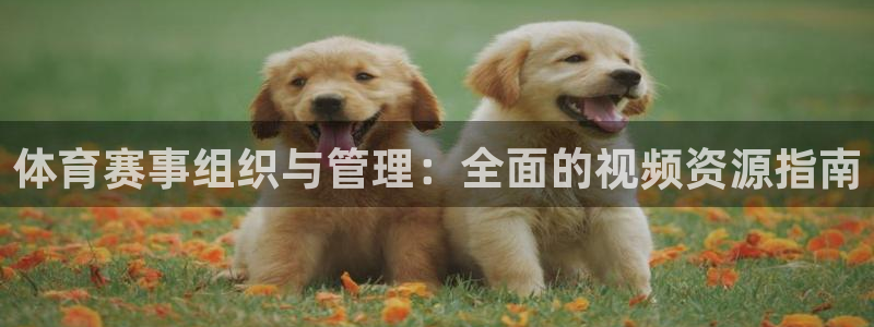 必一体育bsport
