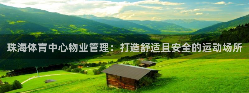必一体育bsport