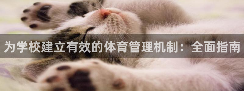 必一体育在哪下：为学