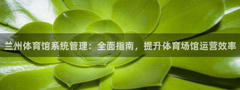 必一体育官网app：