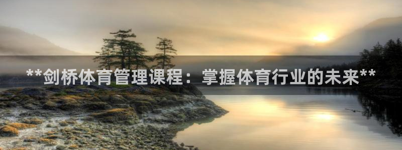 必一体育官方下载：*