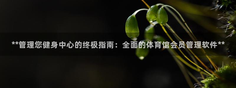 必一体育登录APP下