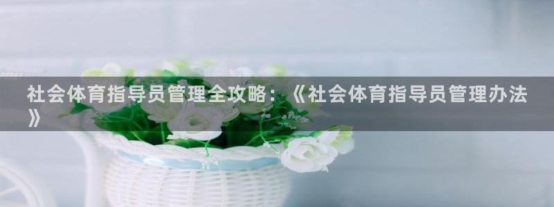 必一体育登录入口AP