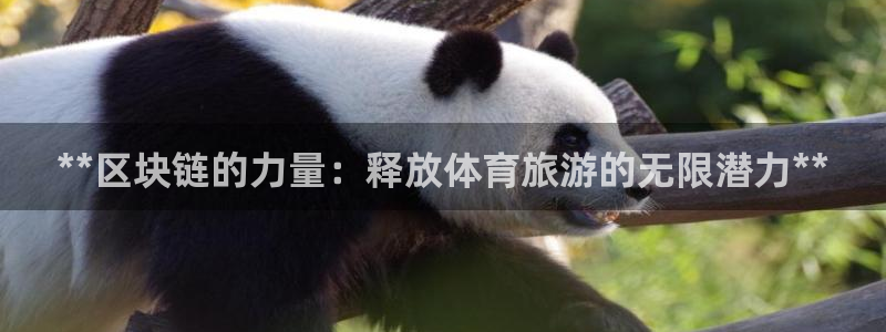 必一体育黑平台：**