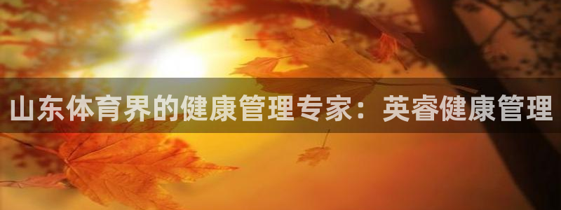 必一体育官方入口：山