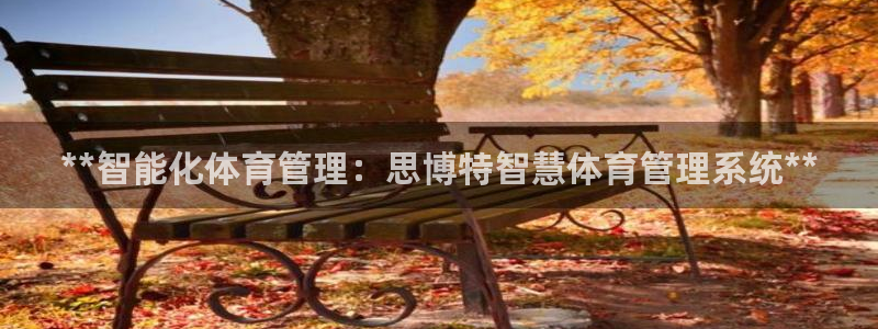 必一体育官方下载：*