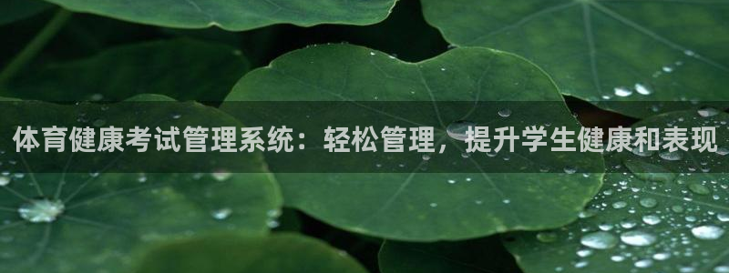 必一体育游戏玩法：体