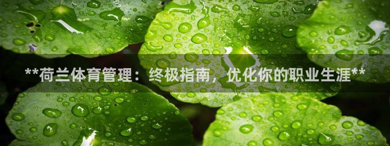必一体育下载入口：*