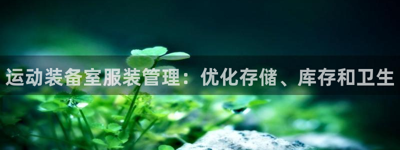 必一体育电子app：