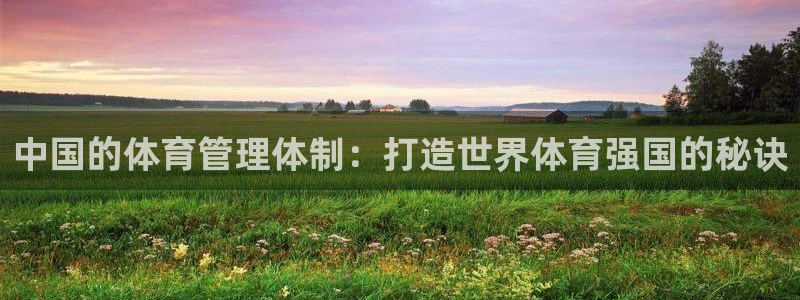 必一体育是哪里的台子