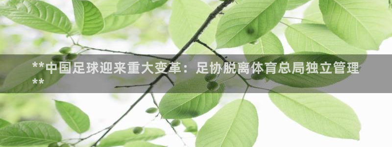 必一体育验证码：**