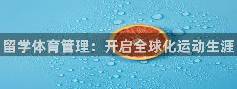 必一体育全站在线登录