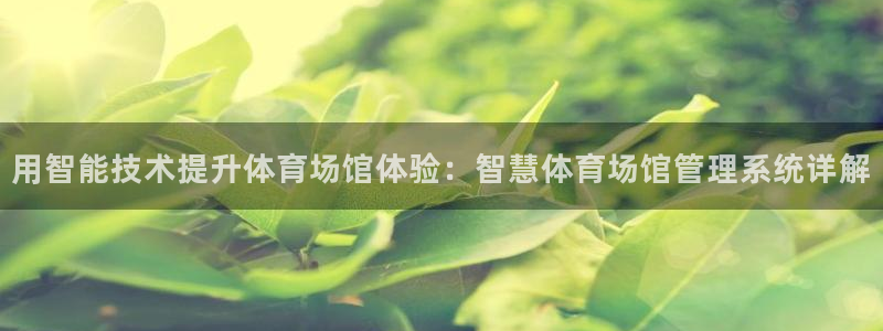 必一体育下载义：用智