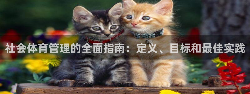 必一体育在线登录：社