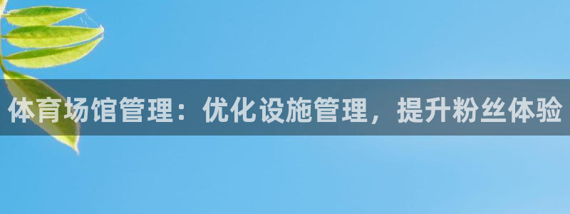 必一体育是啥：体育场