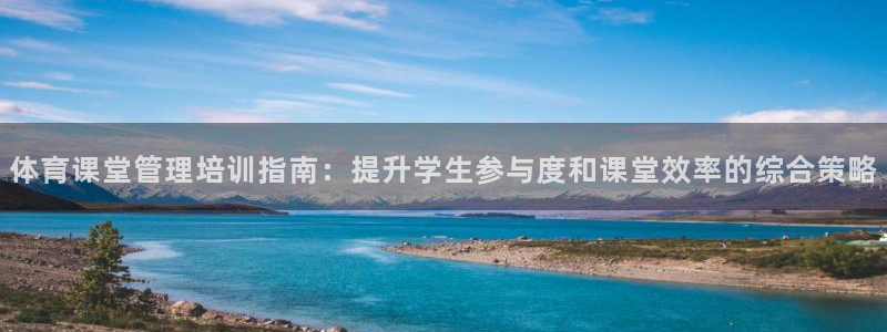 必一运动 b 体育素