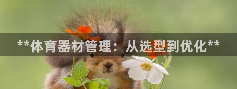 必一运动听的歌：**